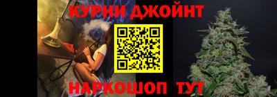 прущие грибы Нальчик