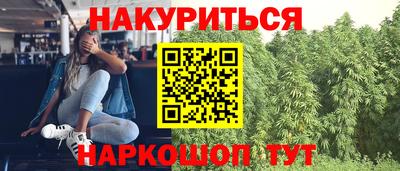 прущие грибы Нальчик