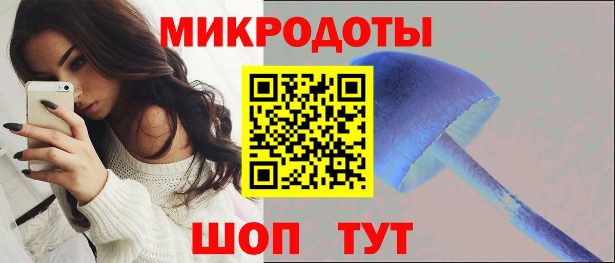 Галлюциногенные грибы GOLDEN TEACHER  Вход с VPN  Тында 